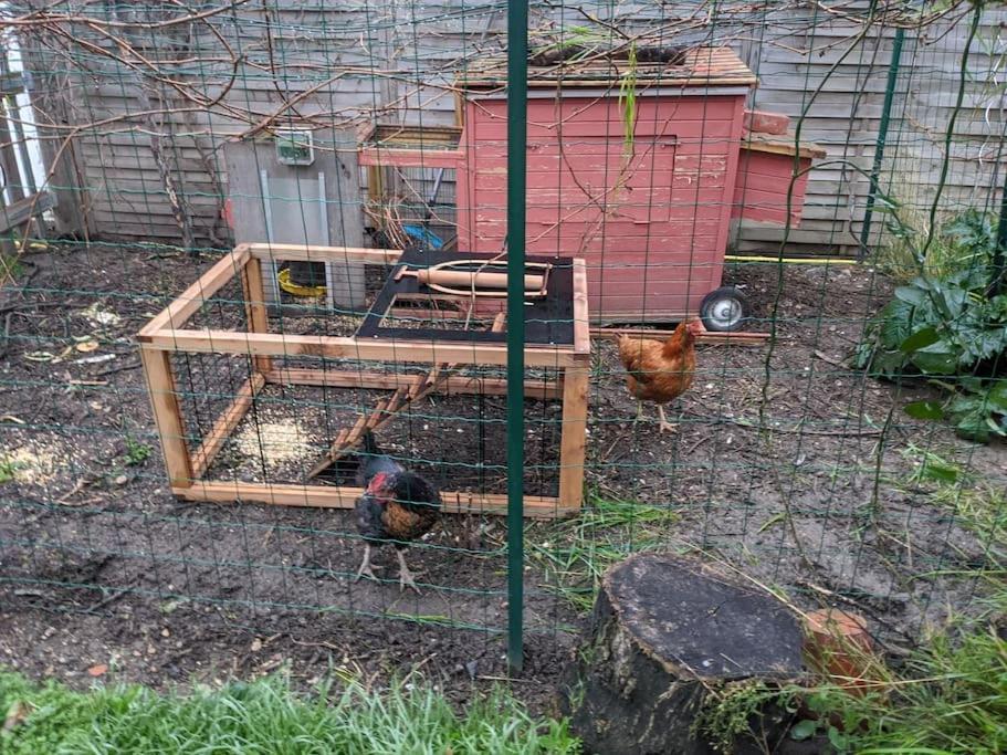 Logement : Climatisation, Garage, Jardin Apartment